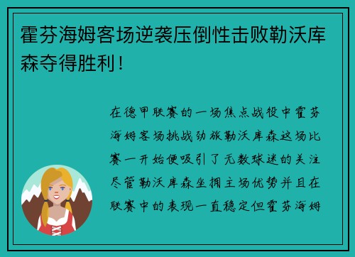 霍芬海姆客场逆袭压倒性击败勒沃库森夺得胜利！